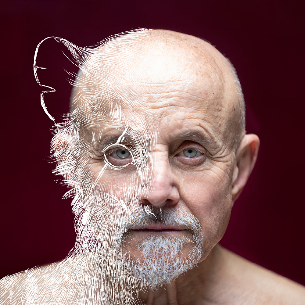 I MIEI STUPIDI INTENTI