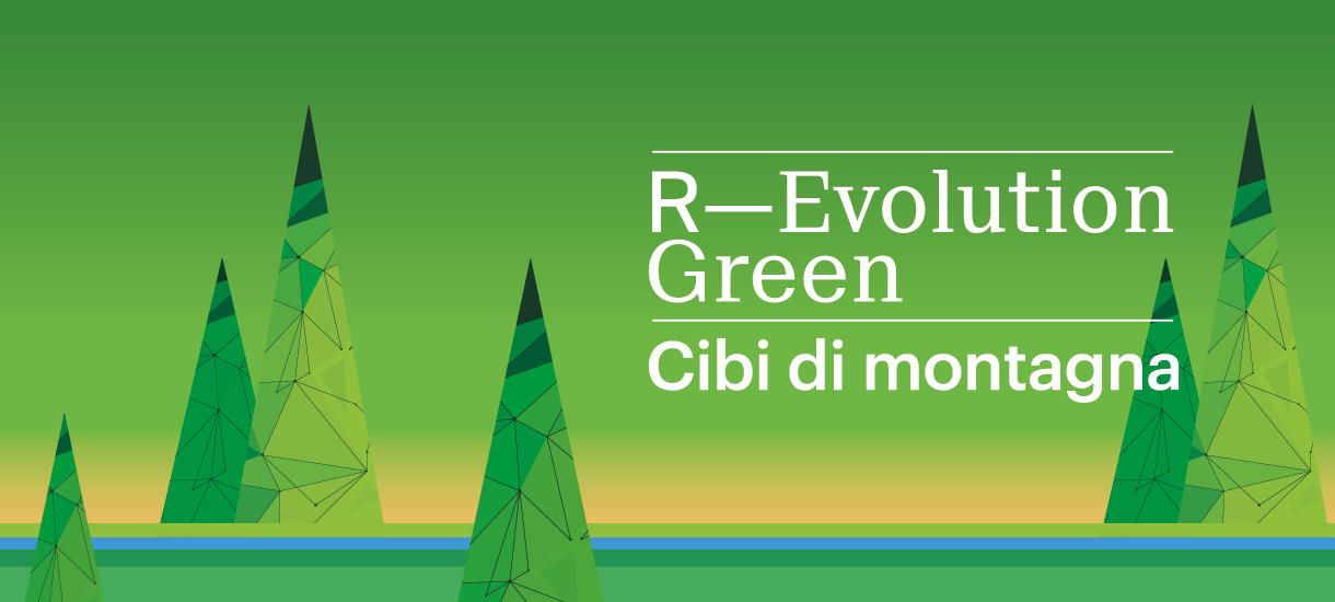 R- Evolution Green 25/26