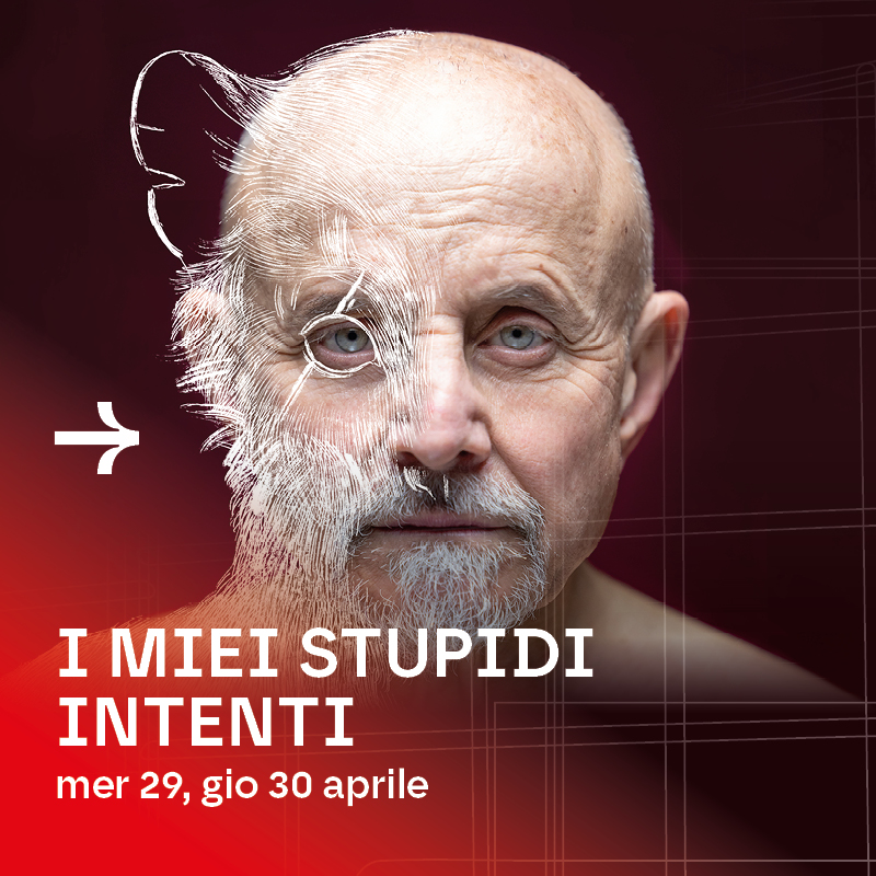 1920x686 StupidiNEW